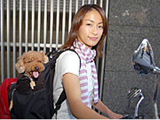 愛犬ジャックと