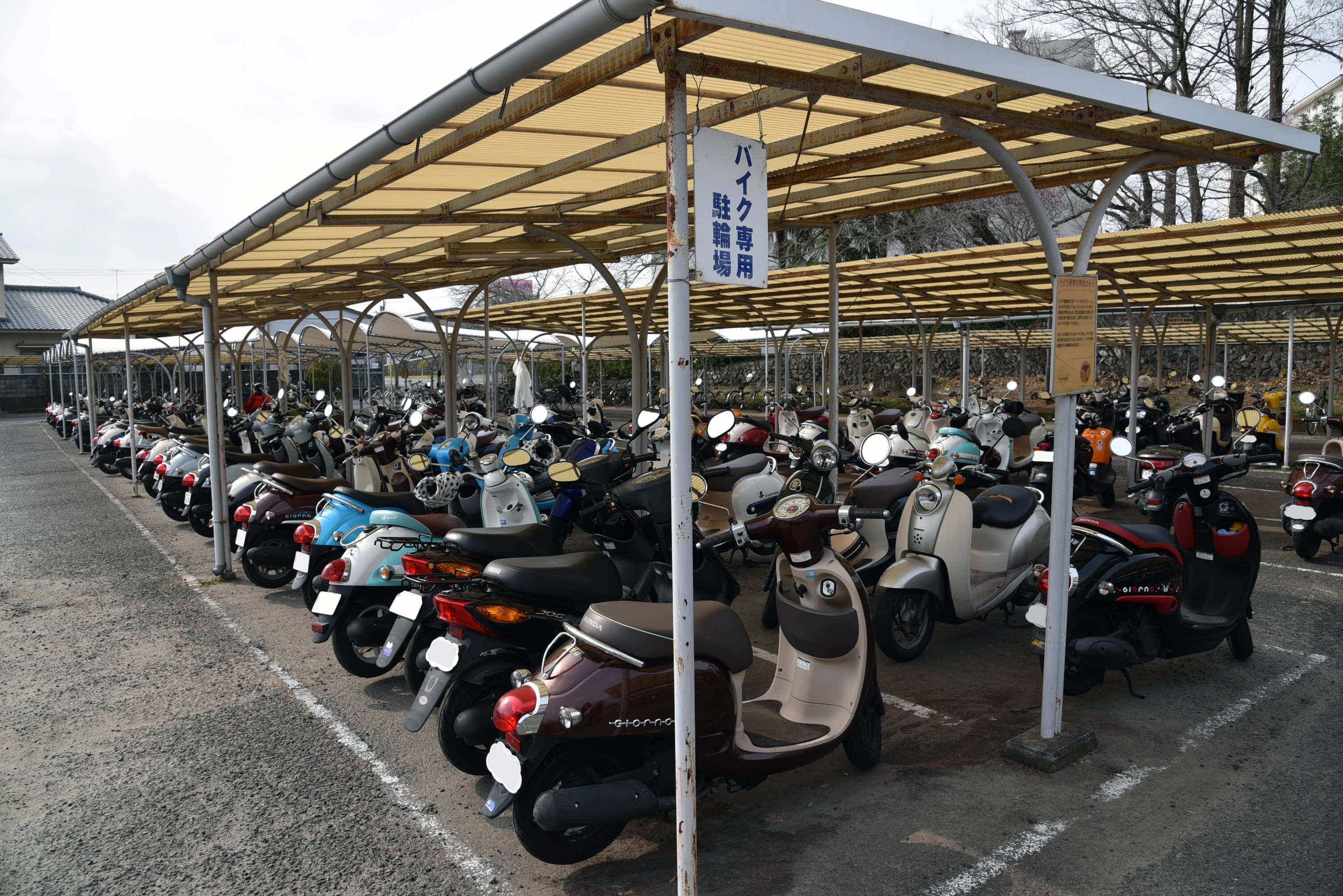 大学のバイク駐輪場（230台を収容可能）
