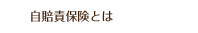 自賠責保険とは