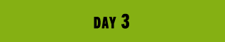 DAY3